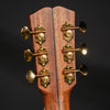 DOWINA GREEN EBONY GAC - LR Baggs Anthems
