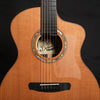 DOWINA GREEN EBONY GAC - LR Baggs Anthems