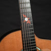 DOWINA GREEN EBONY GAC - LR Baggs Anthems