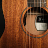 Furch Pioneer-MM a (LR Baggs EAS-VTC)