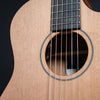 Furch Pioneer-CM a (LR Baggs EAS-VTC)