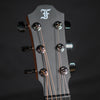 Furch Pioneer-CM a (LR Baggs EAS-VTC)