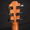 Furch Pioneer-CM a (LR Baggs EAS-VTC)